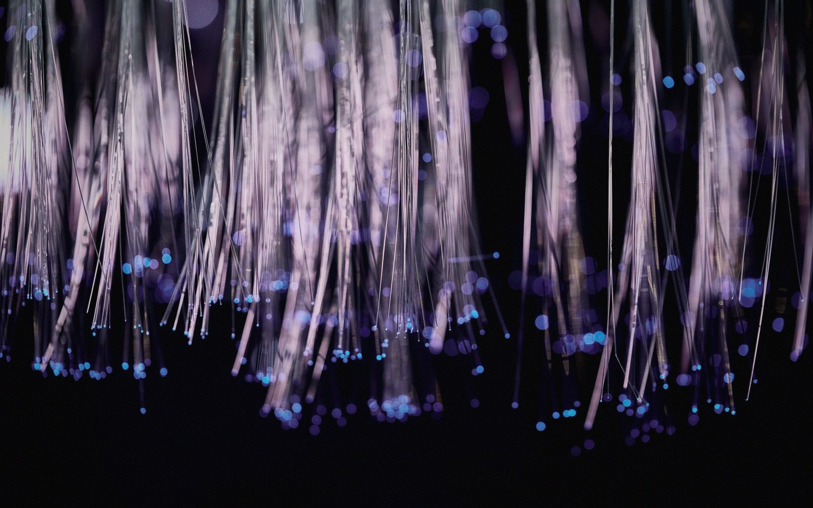 Illuminated fiber optic strands hang with glowing blue tips against a dark background