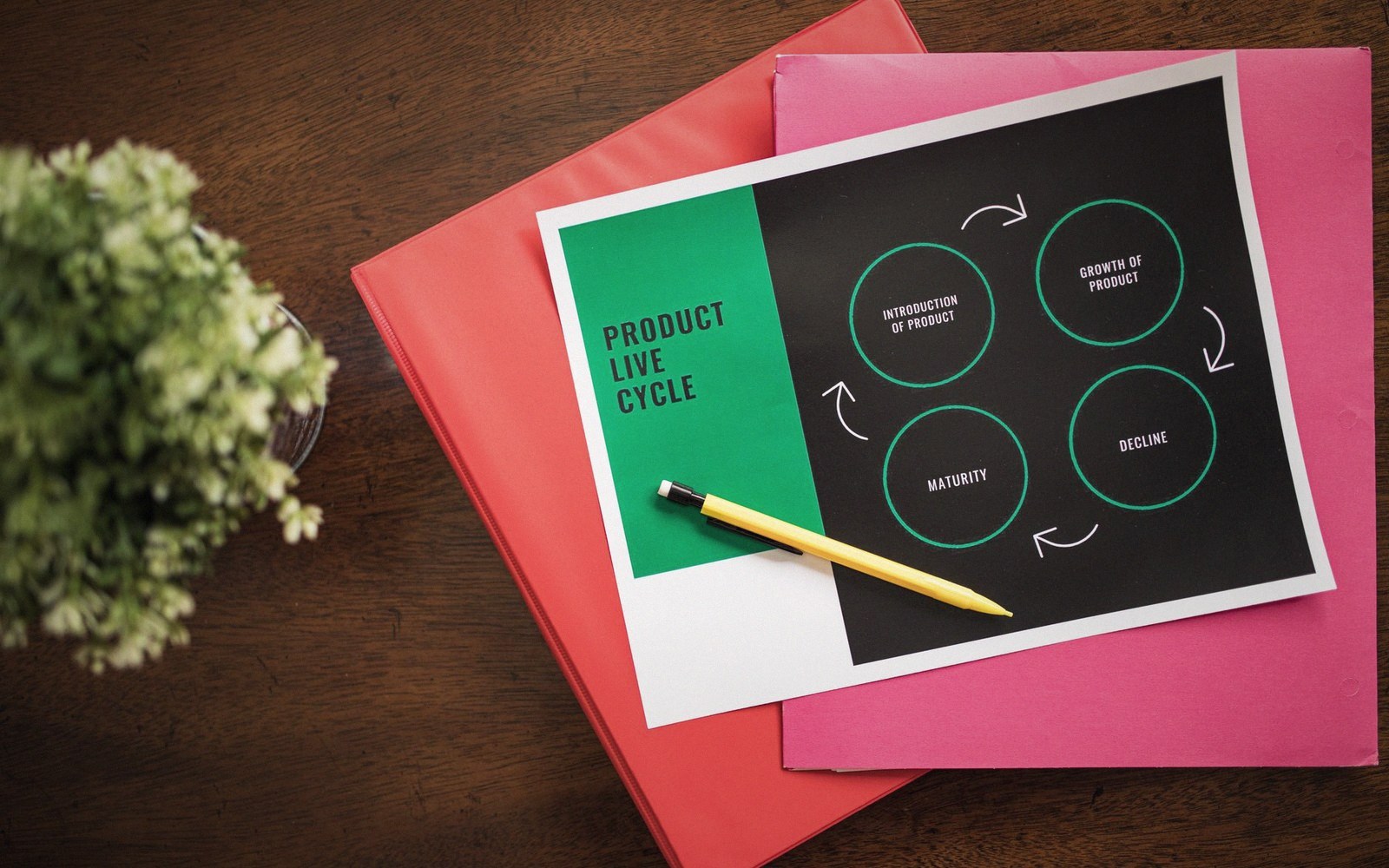 Product life cycle diagram with four stages on a printed chart atop colorful folders